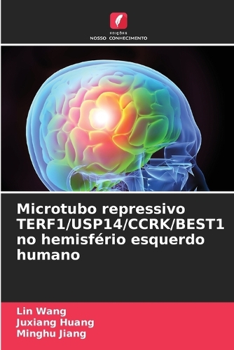 Microtubo repressivo TERF1/USP14/CCRK/BEST1 no hemisfério esquerdo humano