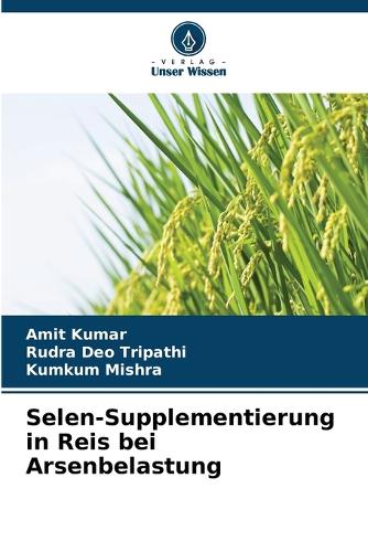 Selen-Supplementierung in Reis bei Arsenbelastung