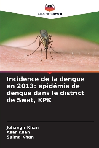 Incidence de la dengue en 2013