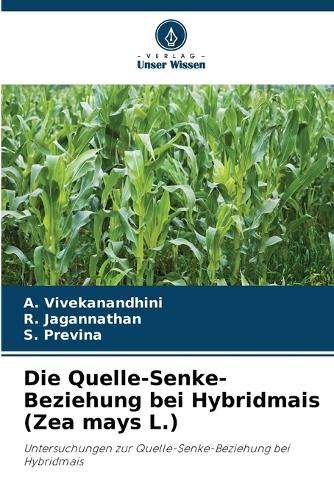 Die Quelle-Senke-Beziehung bei Hybridmais (Zea mays L.)