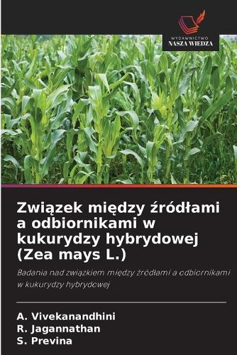 Związek między źródlami a odbiornikami w kukurydzy hybrydowej (Zea mays L.)