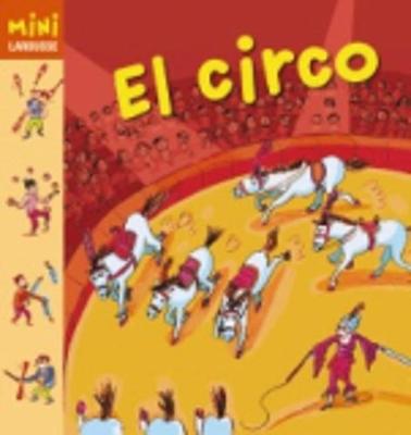 Coleccion Mini Larousse