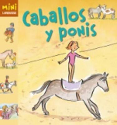 Coleccion Mini Larousse