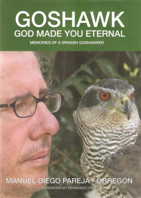 Goshawk