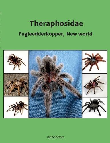 Theraphosidae