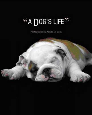 Dog's Life
