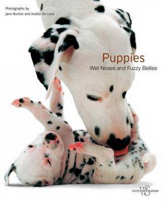 Puppies