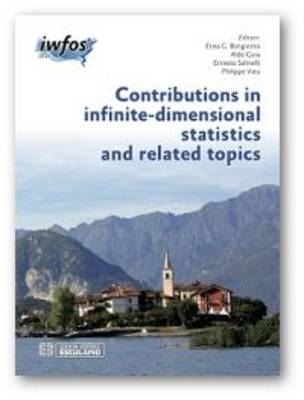 Contributions in Infinite-Dimensional Statistics and Related Topics