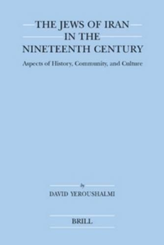 The Jews of Iran in the Nineteenth Century (paperback)