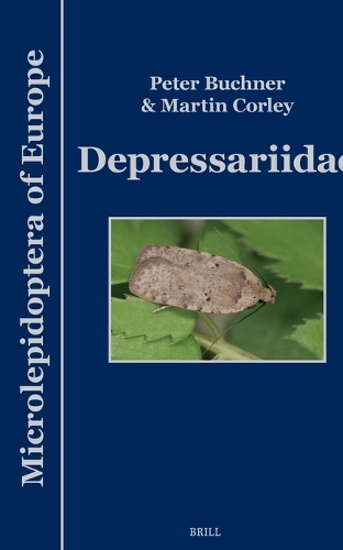Depressariidae