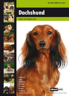 Daschund