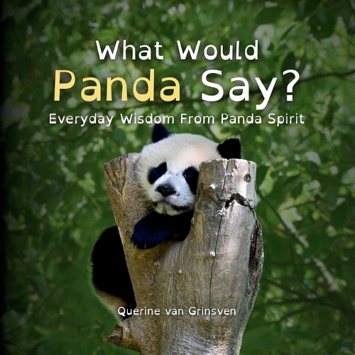 What Would Panda Say?