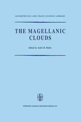 The Magellanic Clouds