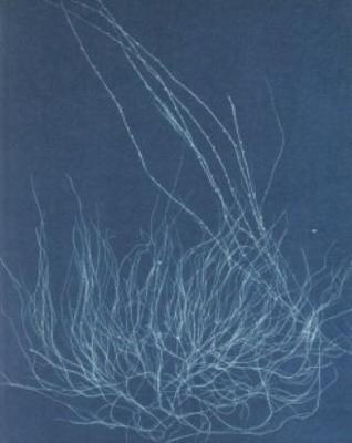 New Realities - Photography in the 19th Century