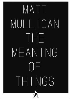 Matt Mullican