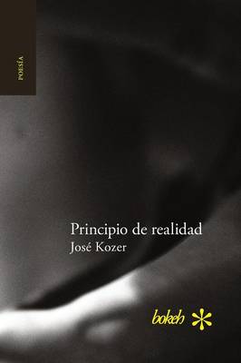 Principio de realidad