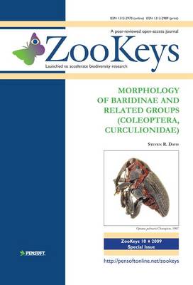 Morphology of Baridinae and Related Groups (Coleoptera, Curculionidae)