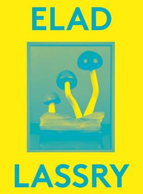 Elad Lassry