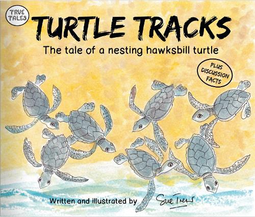 Turtle Tracks