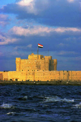 Alexandria Illustrated