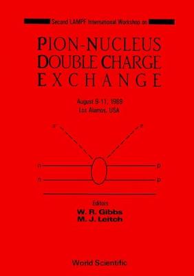 Pion-nucleus Double Charge Exchange - 2nd Lampf Workshop