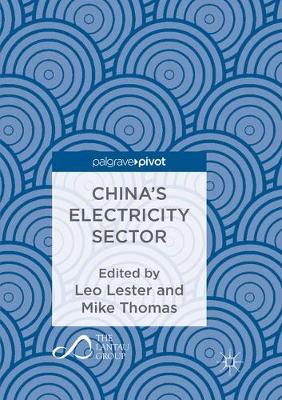 China's Electricity Sector