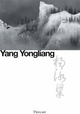 Yang Yongliang: New Landscapes