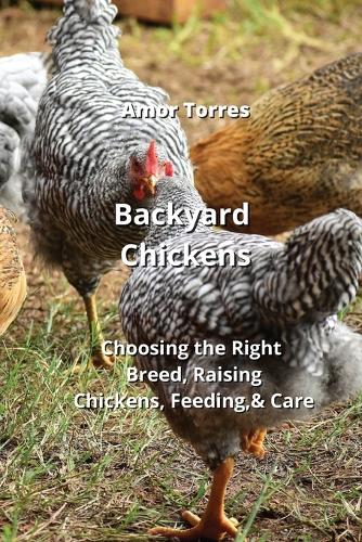 Backyard Chickens