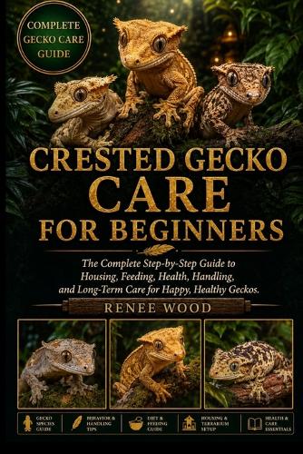 Crested Gecko Care for Beginners