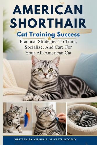 American Shorthair Training Success