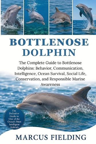Bottlenose Dolphin