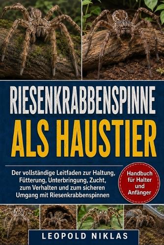 Riesenkrabbenspinne ALS Haustier