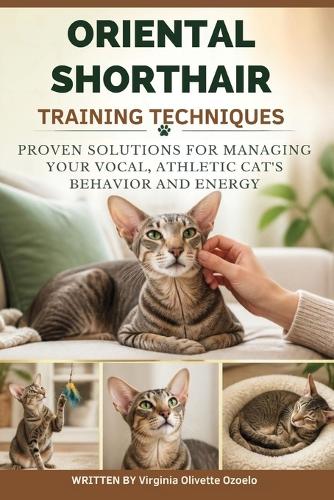 Oriental Shorthair Training Techniques
