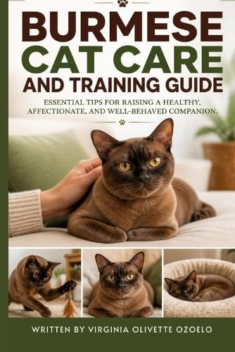 Burmese Cat Care and Training Guide
