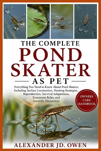 The Complete Pond Skater as Pet