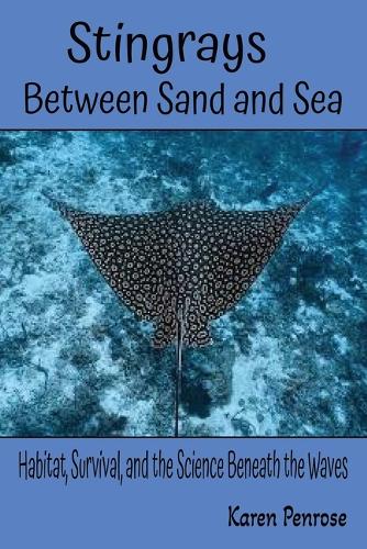 Stingrays, Between Sand and Sea