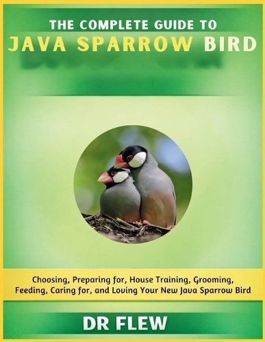 The Complete Guide to Java Sparrow Bird