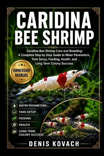 Caridina Bee Shrimp