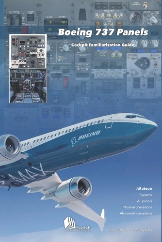 Boeing 737 Panels