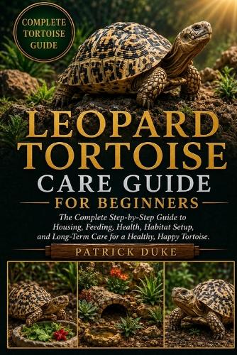 Leopard Tortoise Care Guide for Beginners