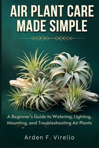 Air Plant Care Made Simple