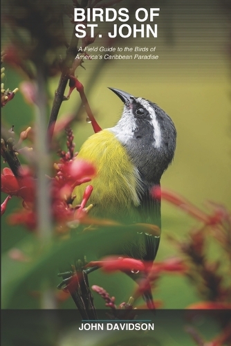 Birds of St. John