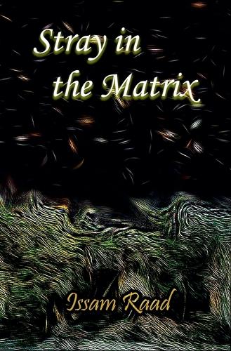 Stray in the Matrix