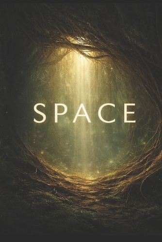 The Space Practice