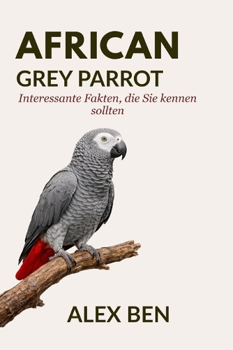 African Grey Parrot