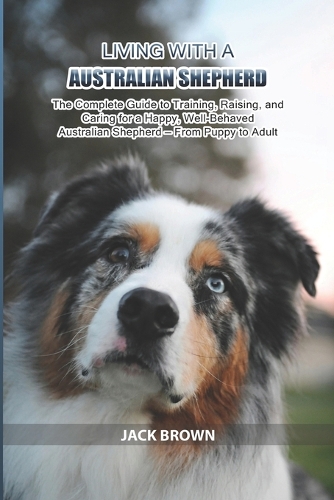 Living with a Australian Shepherd
