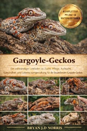 Gargoyle-Geckos