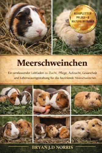Meerschweinchen