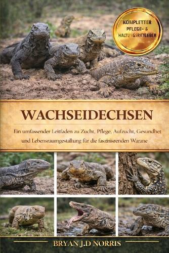 Wachseidechsen