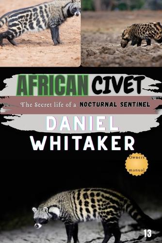 African Civet